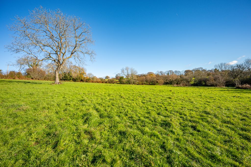 Grounds- click for photo gallery